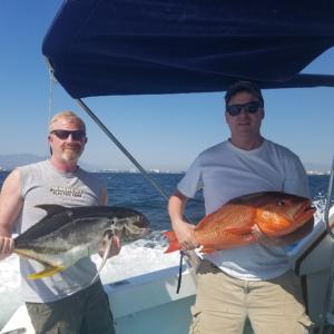 puerto vallarta fishing in February